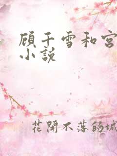 顾千雪和宫凌沨小说