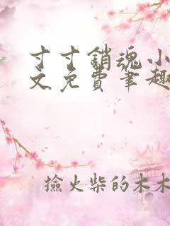 寸寸销魂小说全文免费笔趣阁