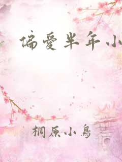 偏爱半年小说