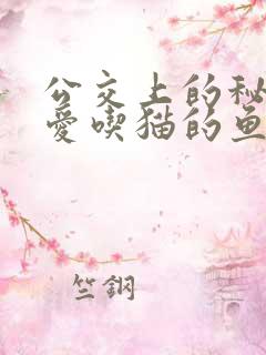 公交上的秘密 爱吃猫的鱼