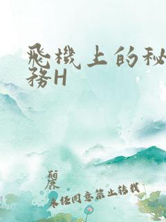 飞机上的秘密服务H