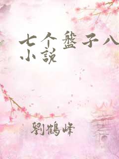 七个盘子八个碗小说