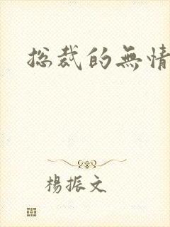 总裁的无情游戏