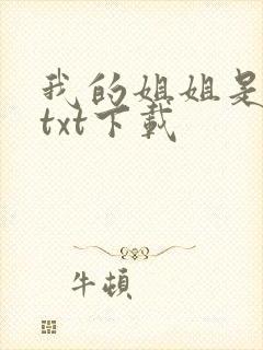 我的姐姐是美女txt下载