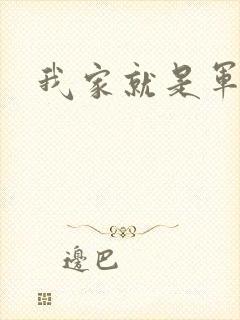 我家就是军火铺