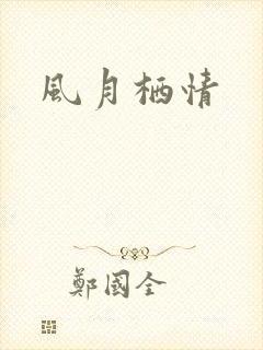 风月栖情