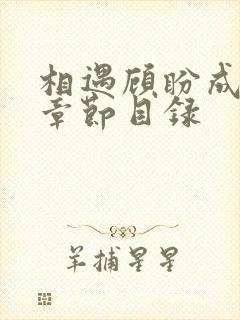 相遇顾盼成欢全章节目录