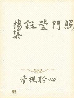 杨钰莹门照艳全集