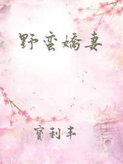 野蛮娇妻
