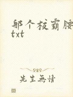 那个校霸腰好软txt