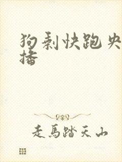 狗剩快跑央八首播