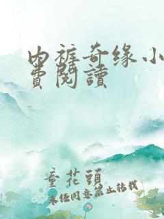 内裤奇缘小说免费阅读