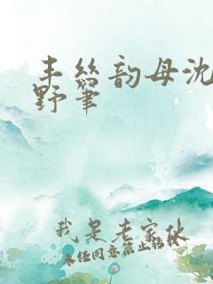 丰丝韵母沈蓉书野笔