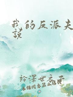 我的反派夫君小说