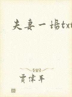 夫妻一场txt