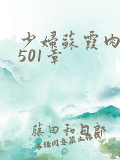 少妇苏霞肉欲第501章