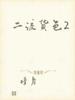 二流货色2