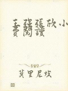 王强张欣小说免费阅读