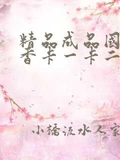 精品成品国色天香卡一卡二摄像头