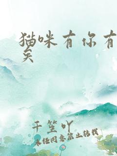 猫咪有你有我足矣
