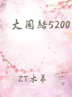 大团结5200