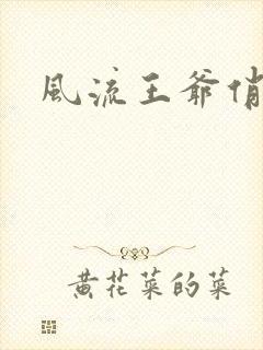 风流王爷俏相公