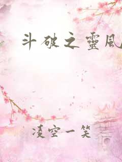 斗破之灵风