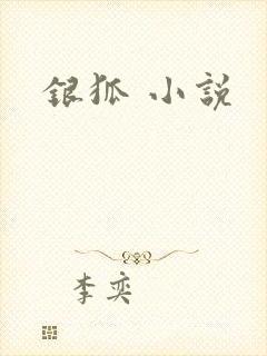 银狐 小说