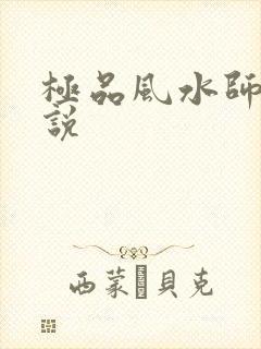 极品风水师 小说