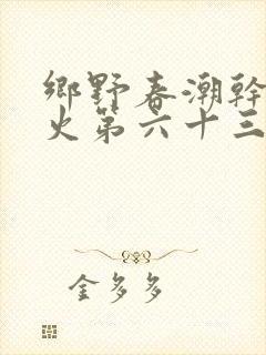 乡野春潮干柴烈火第六十三章