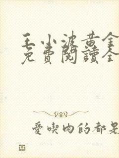 王小波黄金时代免费阅读全文