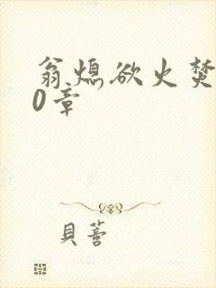 翁熄欲火焚身50章