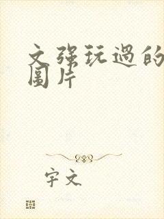 文强玩过的女人图片