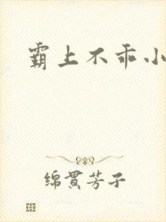 霸上不乖小逃妻