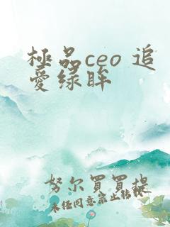 极品ceo 追爱绿眸