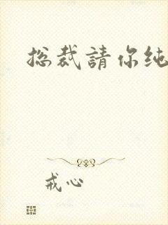 总裁请你纯洁点