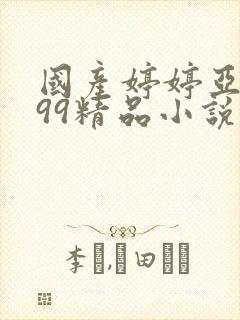 国产婷婷亚洲999精品小说