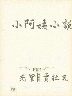 小阿姨小说