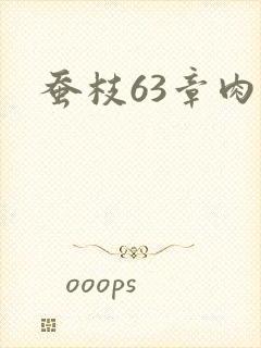 蚕枝63章肉
