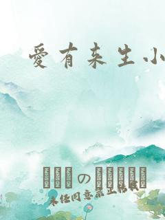 爱有来生小说