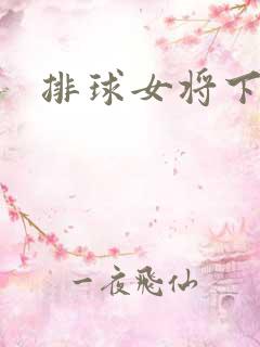 排球女将下载