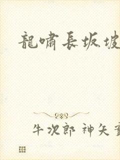 龙啸长坂坡