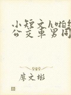 小短文h啪纯肉公交车男同