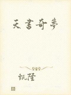 天书奇梦