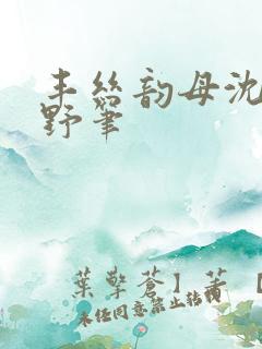 丰丝韵母沈蓉书野笔