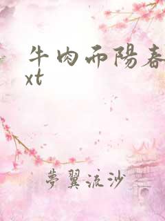 牛肉面阳春面txt