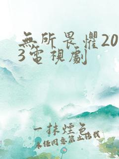 无所畏惧2023电视剧