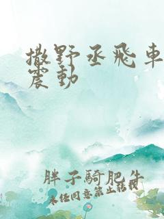 撒野丞飞车道具震动