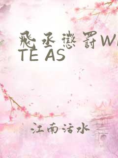 飞丞惩罚WRITE AS