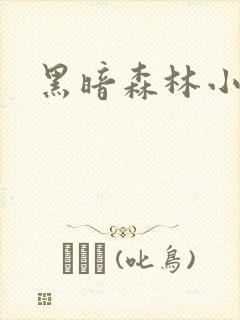 黑暗森林小说